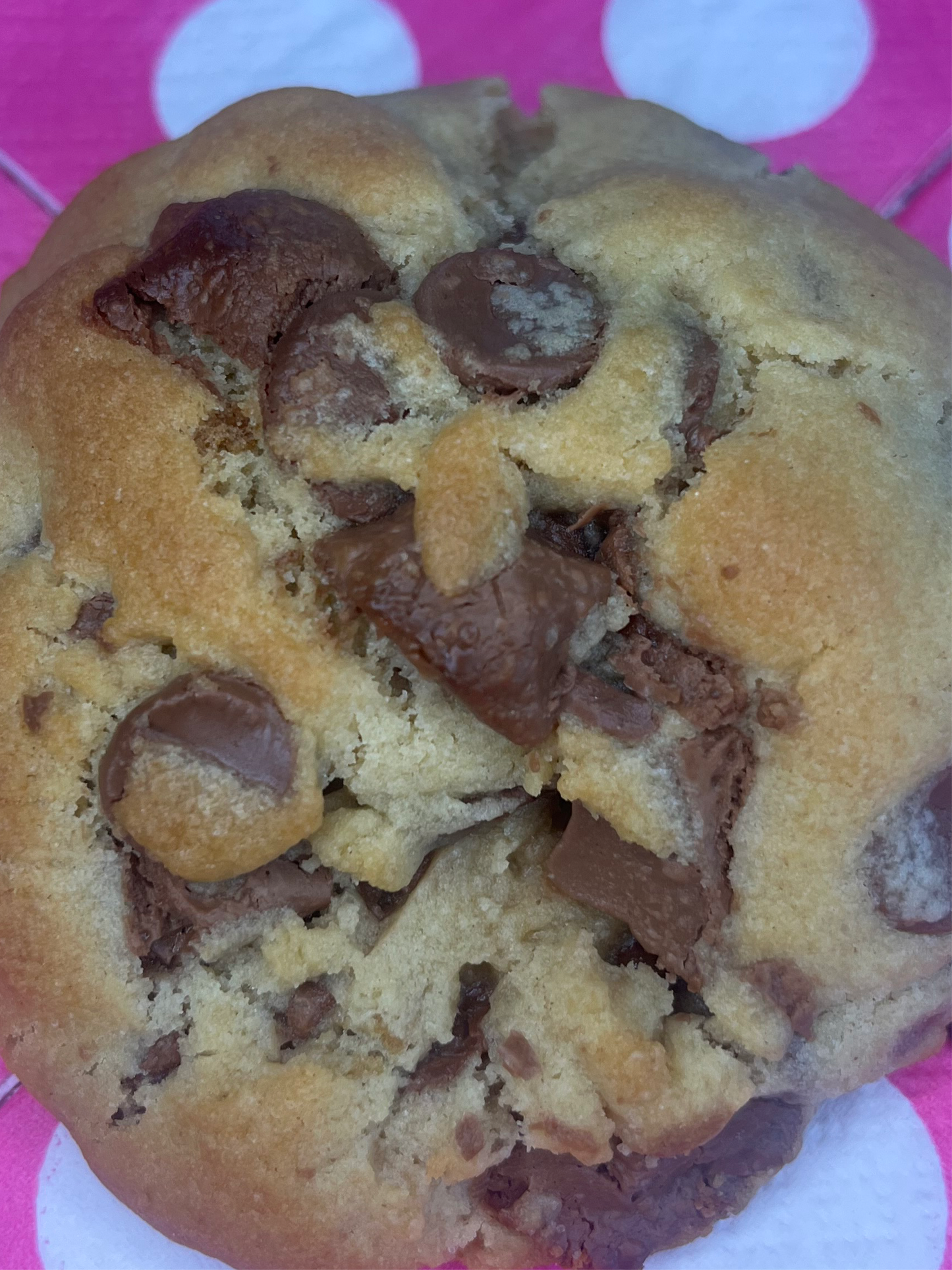 MYSTERY BOX of 6 Cookies
