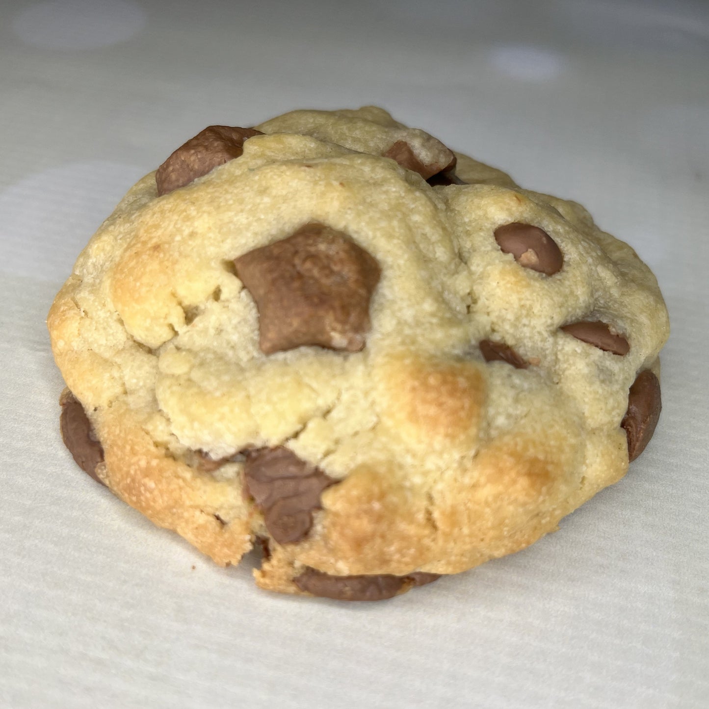 MYSTERY BOX of 6 Cookies